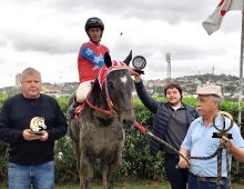 09.07 Corridas &raquo; 09.07 Corridas &raquo; Corridas 29.05.25